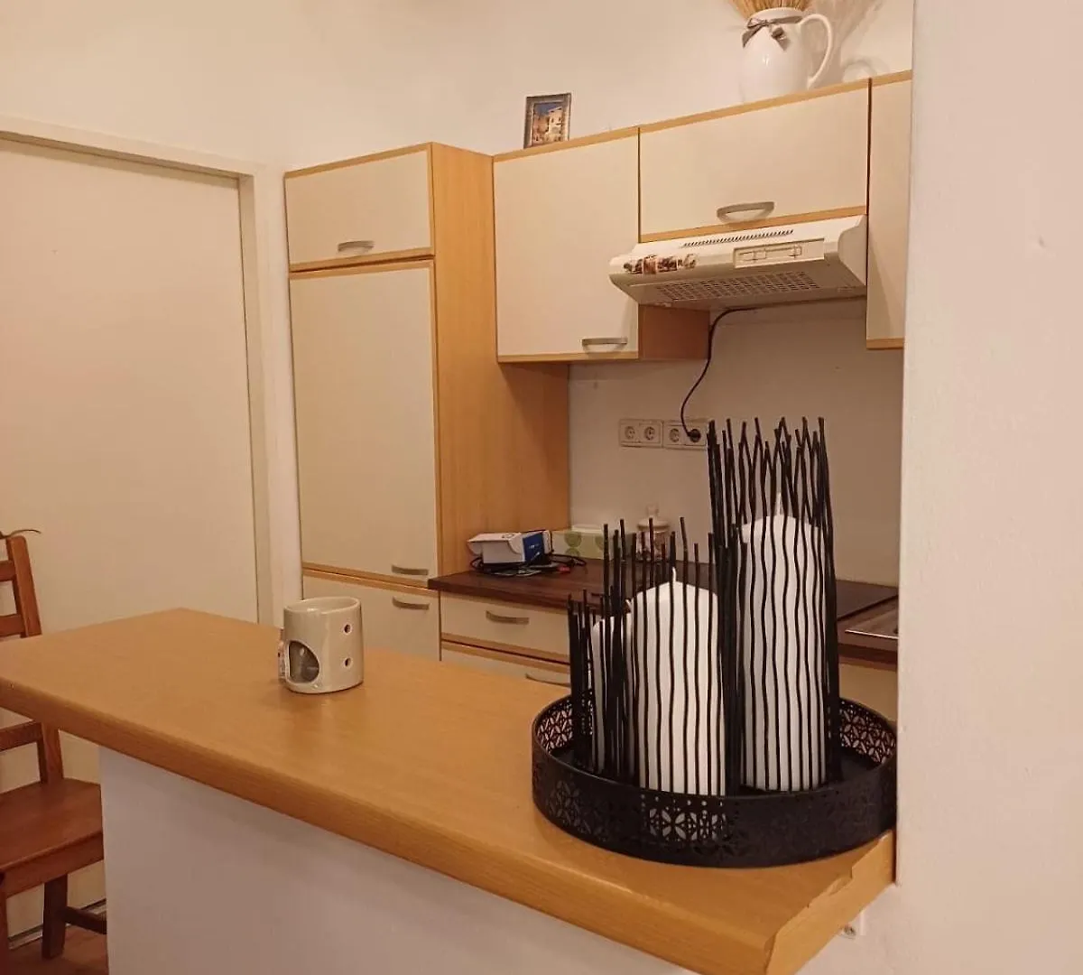 Apartment Vis A Vis Schoenbrunn With Private Parking Vienna